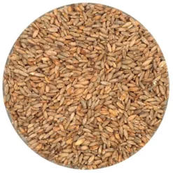 Rye Malt - Briess - 50 Lb. Sack