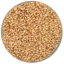 2-Row Malt - Rahr - 55 Lb. Sack
