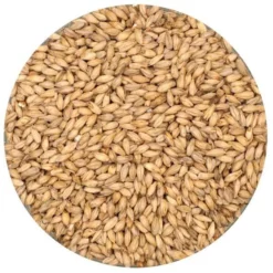 6-Row Malt - Rahr - 55 Lb. Sack