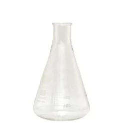 1000 Ml Erlenmeyer Flask