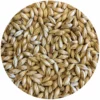Lamonta (American Pale) Malt - Mecca Grade