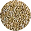 Lamonta (American Pale) Malt - Mecca Grade - 50 Lb. Sack