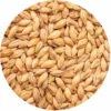 German Red X® Malt (Munich Malt) - Best Malz - 55 Lb. Sack