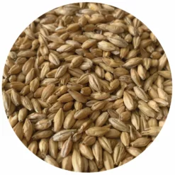 North Star Pils - Rahr - 55 Lb. Sack