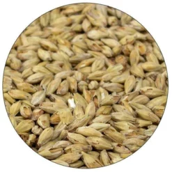 Honey Malt - Root Shoot Malting - 50 Lb. Sack