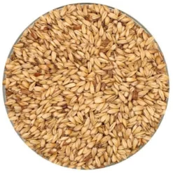 English Cara Malt - Thomas Fawcett Malting - 55 Lb. Sack