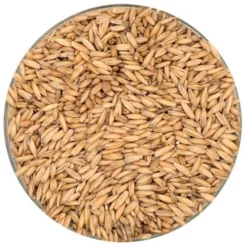 English Oat Malt - Thomas Fawcett Malting - 55 Lb. Sack