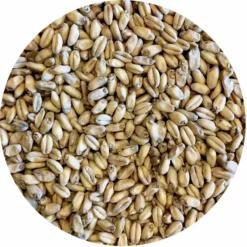 Shaniko (White Winter Wheat) Malt - Mecca Grade - 50 Lb. Sack