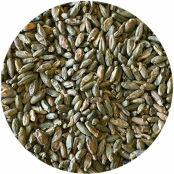 Rimrock (Vienna-Style Spring Rye) Malt - Mecca Grade
