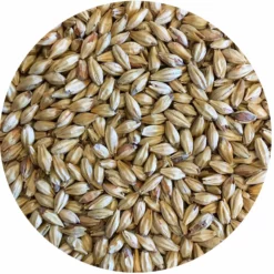 Opal 44 (Caramelized, Toffee) Malt - Mecca Grade - 50 Lb. Sack