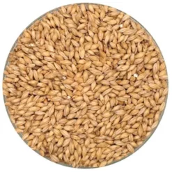 Premium Pilsner Malt - Rahr - 55 Lb. Sack