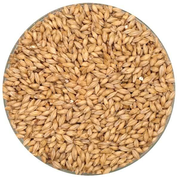 Premium Pilsner Malt - Rahr - 55 Lb. Sack