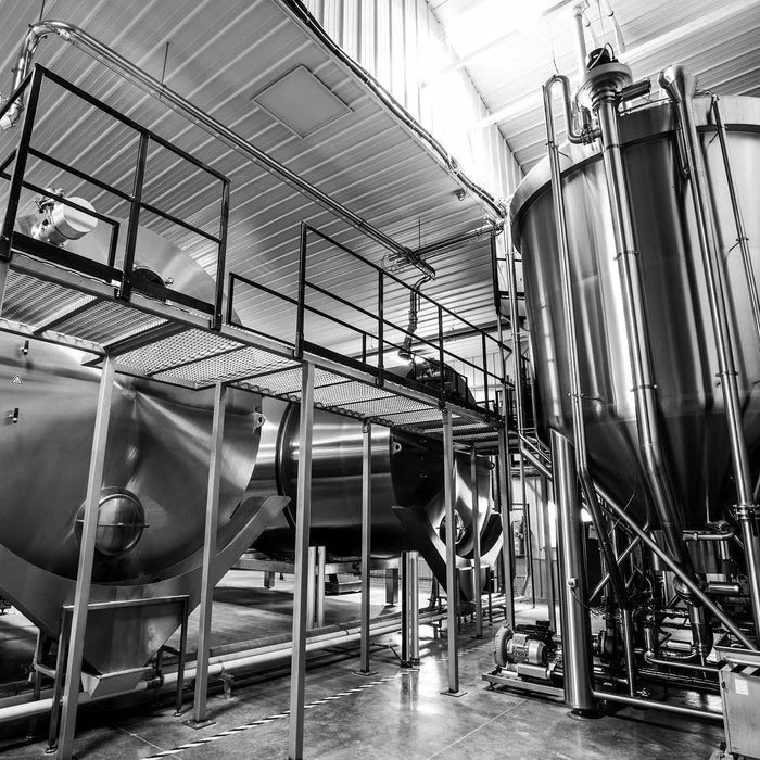 Munich 10 Malt - Root Shoot Malting - 50 Lb. Sack - Image 4