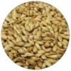 Belgian Cara 20 (Caravienne) Malt - Dingemans - 55 Lb. Sack