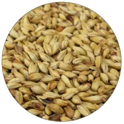 Belgian Cara 20 (Caravienne) Malt - Dingemans - 55 Lb. Sack
