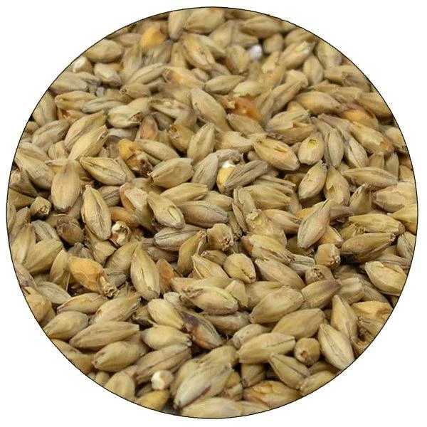 Munich 10 Malt - Root Shoot Malting - 50 Lb. Sack