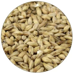 Organic 2-Row Malt - Briess - 50 Lb. Sack