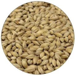 English Maris Otter Malt - Simpsons - 55 Lb. Sack